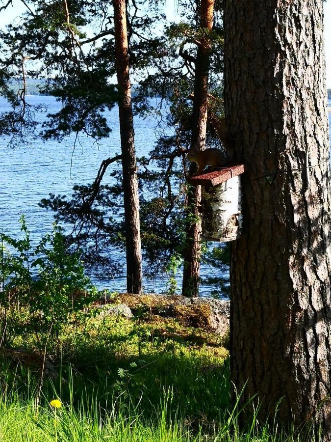 Club House Hotelli Kaipolan Ranta Jämsä Екстериор снимка